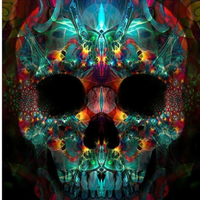 Skull Diy Paint By Numbers Kits UK PP0039