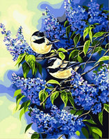 Bird Diy Paint By Numbers Kits UK FA0084