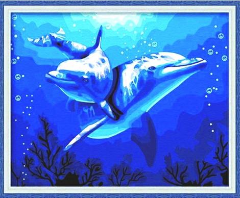 Dolphin Diy Paint By Numbers Kits MA204