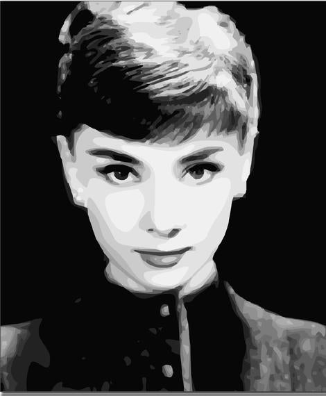 Audrey Hepburn Diy Paint By Numbers Kits UK PO0126