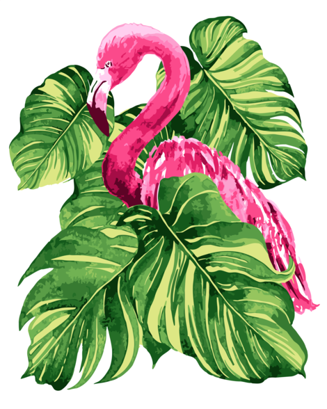 Flamingo Diy Paint By Numbers Kits UK AN0182