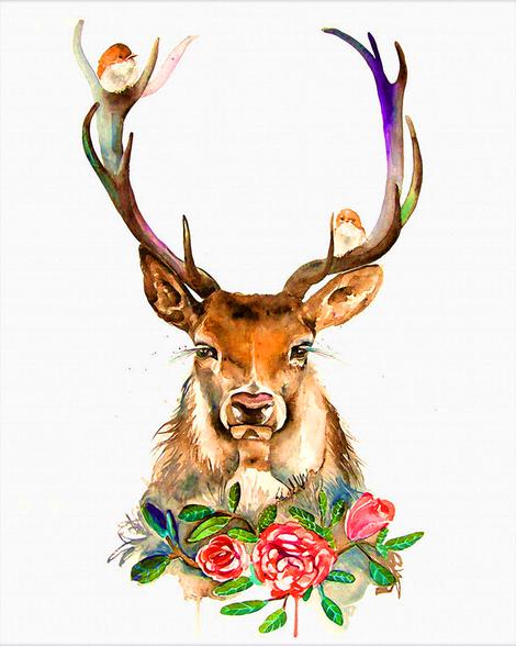 Deer Diy Paint By Numbers Kits UK AN0641
