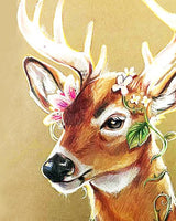 Deer Diy Paint By Numbers Kits UK AN0644