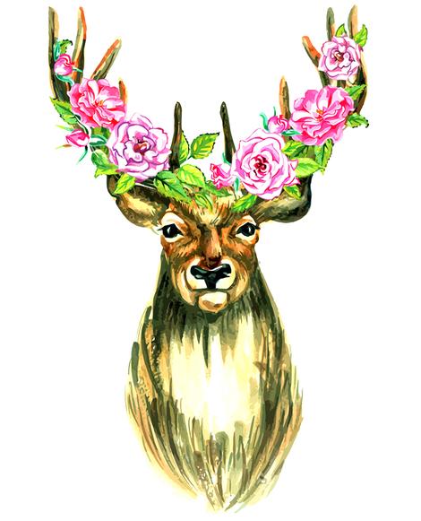Deer Diy Paint By Numbers Kits UK AN0655