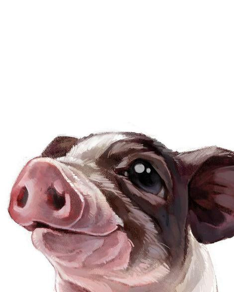 Pig Diy Paint By Numbers Kits UK FA0124