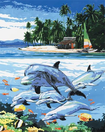 Dolphin Diy Paint By Numbers Kits MA188