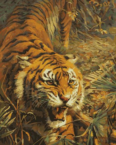 Animal Tiger Diy Paint By Numbers Kits UK AN0364