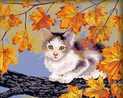 Cat Diy Paint By Numbers Kits UK PE0263