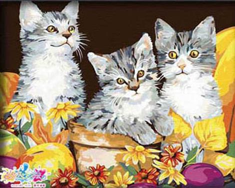 Cat Diy Paint By Numbers Kits UK PE0262