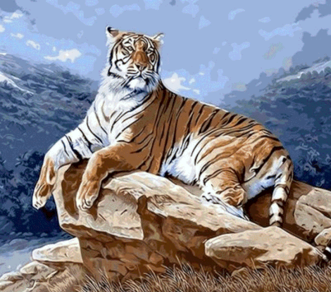 Animal Tiger Diy Paint By Numbers Kits UK AN0391