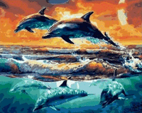 Dolphin Diy Paint By Numbers Kits MA196