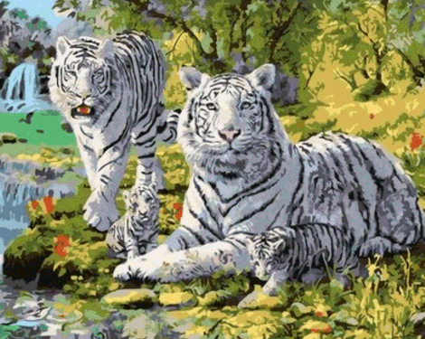 Animal Tiger Diy Paint By Numbers Kits UK AN0400