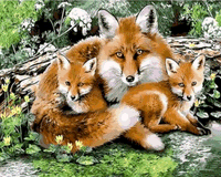 Animal Fox Diy Paint By Numbers Kits UK AN0695