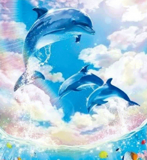 Dolphin Diy Paint By Numbers Kits MA210