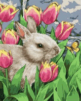 Animal Rabbit Diy Paint By Numbers Kits UK FA0158