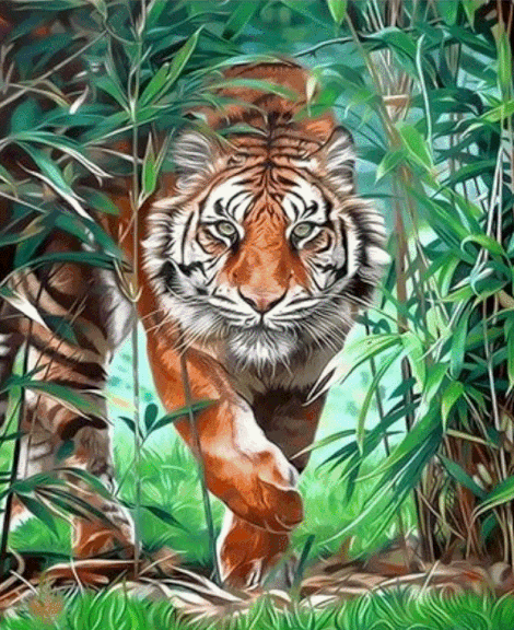 Animal Tiger Diy Paint By Numbers Kits UK AN0354
