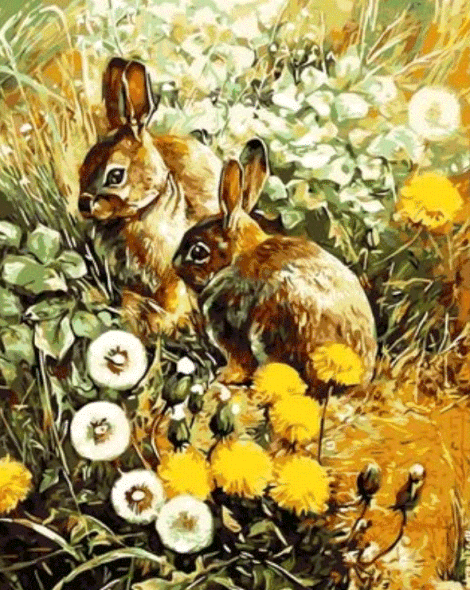 Animal Rabbit Diy Paint By Numbers Kits UK FA0153