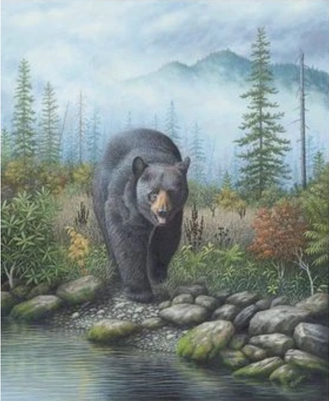 Bear Diy Paint By Numbers Kits UK AN0515