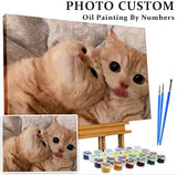 Diy Custom Photo Paint By Numbers For Cat, CDP0004