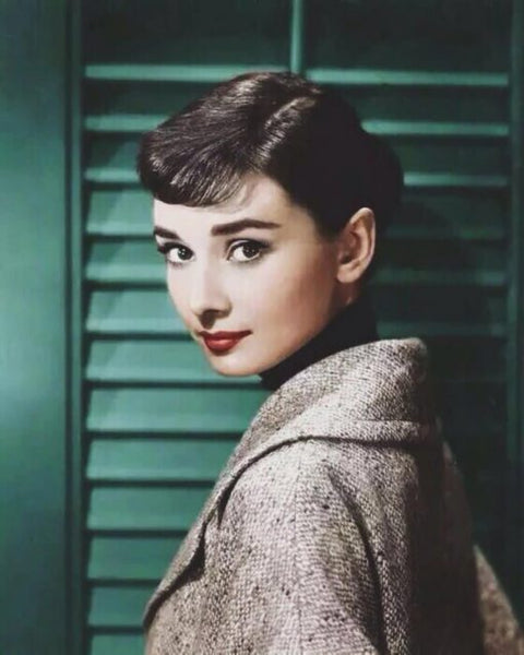 Sweet Audrey Hepburn Diy Paint By Numbers Kits UK PO0133