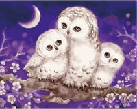 Owl Diy Paint By Numbers Kits Uk ZXQ2610