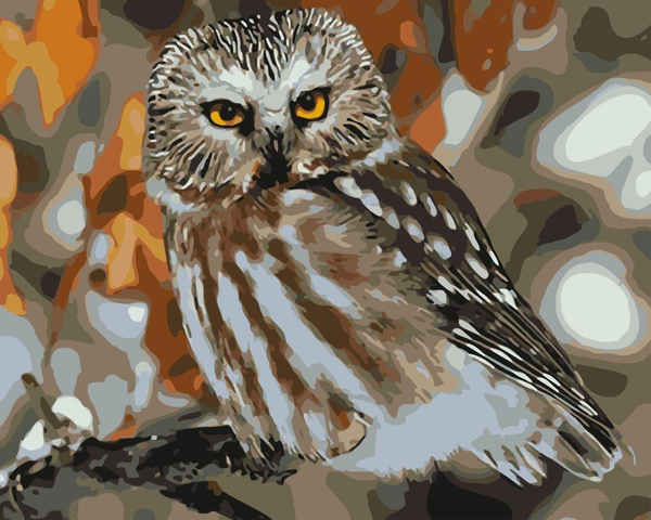 Owl Diy Paint By Numbers Kits Uk WM-340