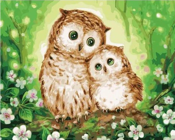 Owl Paint By Numbers Kits Uk VM90932