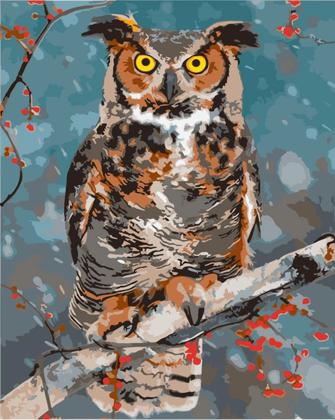 Owl Diy Paint By Numbers Kits Uk WM-1345 ZXQ3745
