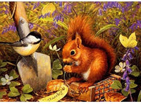 Squirrel Diy Paint by Numbers Kits UK AN0900