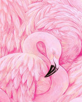 Flamingos Diy Paint By Numbers Kits UK AN0192