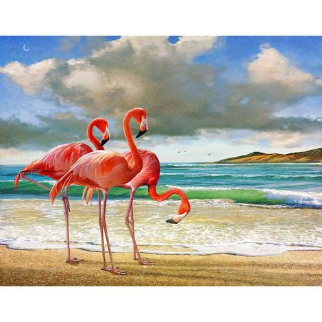 Flamingos Diy Paint By Numbers UK AN0177