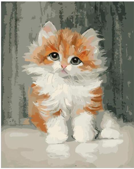 Pet Cat Diy Paint By Numbers UK PE0228
