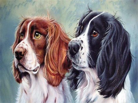 Pet Dog Paint By Numbers Kits UK PE0334