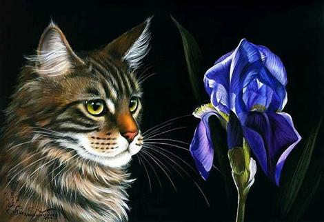 Pet Cat Paint By Numbers Kits UK PE0222