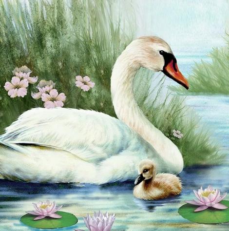 Swan Paint By Numbers Kits UK AN0718