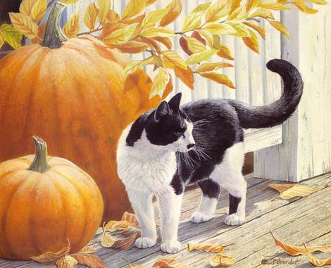Lovely Cat Diy Paint By Numbers Kits UK PE0195