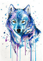 Wolf Diy Paint By Numbers Kits UK AN0538