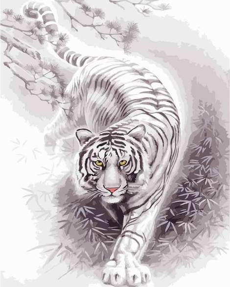 Animal Tiger Diy Paint By Numbers Kits UK AN0373