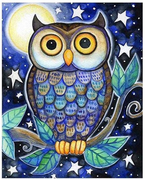 Owl Diy Paint By Numbers Kits UK FA0034