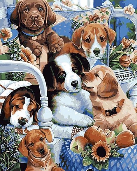 Dog Diy Paint By Numbers Kits UK PE0348