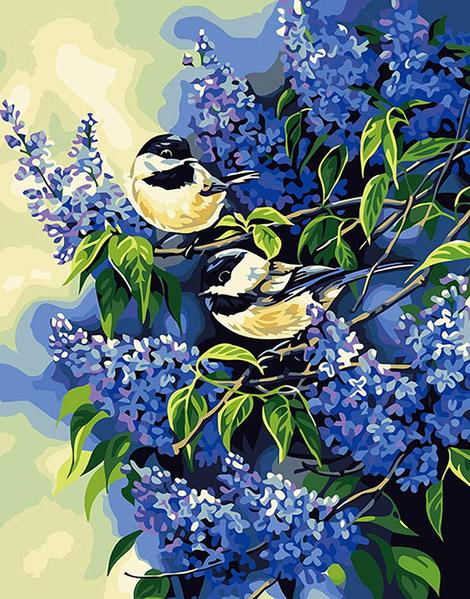 Bird Diy Paint By Numbers Kits UK FA0097
