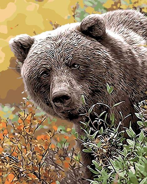 Bear Diy Paint By Numbers Kits UK AN0525