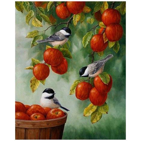 Bird Diy Paint By Numbers Kits UK FA0093