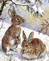 Rabbit Diy Paint By Numbers Kits UK AN0865