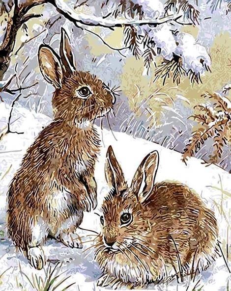 Rabbit Diy Paint By Numbers Kits UK AN0865