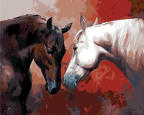 Horse Diy Paint By Numbers Kits UK AN0286