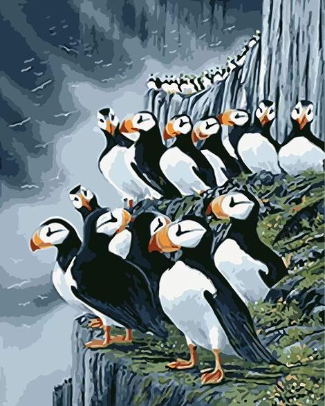 Penguin Diy Paint by Numbers Kits UK AN0214