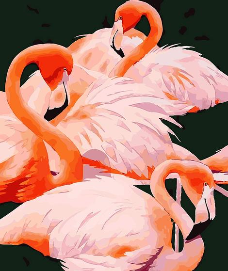 Flamingo Diy Paint By Numbers Kits UK AN0189