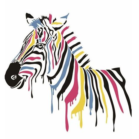 Zebra Diy Paint By Numbers Kits UK AN0791