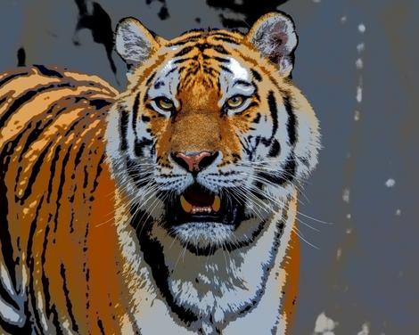 Tiger Diy Paint By Numbers Kits UK AN0387